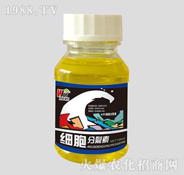 100ml-G