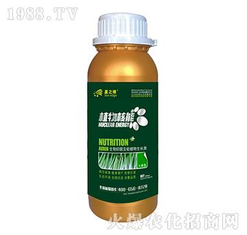 [-ֲ300ml-֮