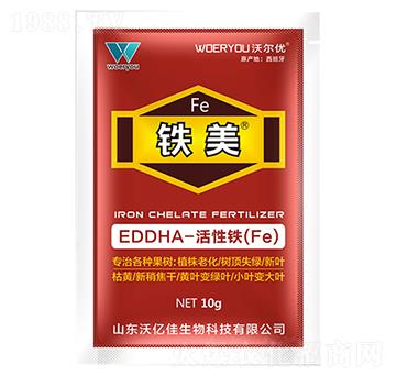 EDDHA-F-F-֠