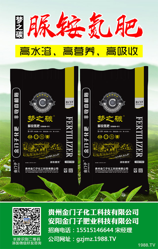 萵苣什么時候種植？萵苣高產種植方案