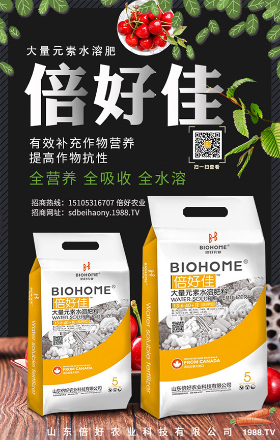     冬小麥什么時候澆水好？小麥灌溉時間！澆越冬水的好處！