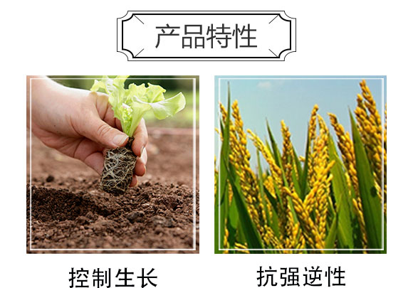 奧特·微生物菌肥-源生佳禾-奧納農(nóng)業(yè)_05