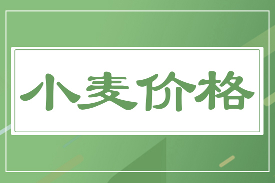 2024年10月18日國內小麥價格行情參考