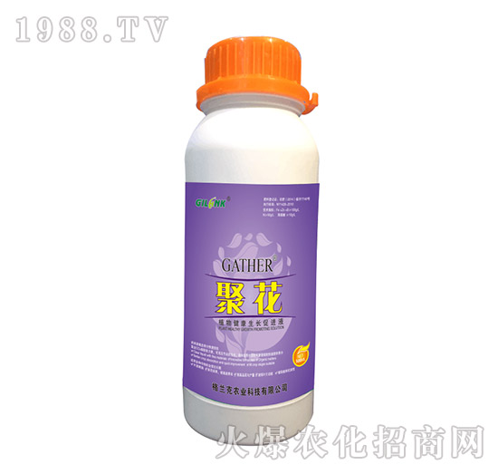 ۻ-ֲ｡L(zhng)M(jn)Һ500ml-m