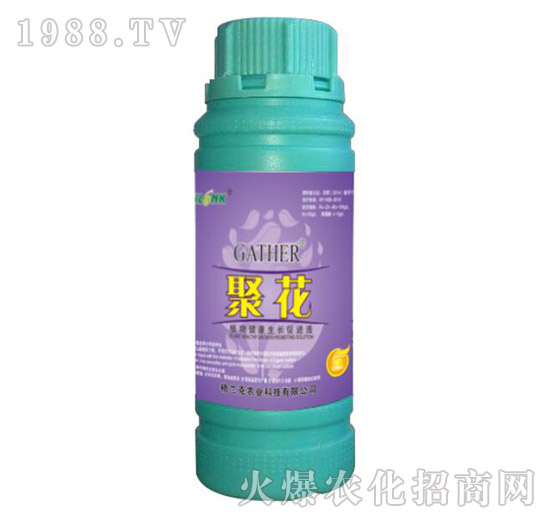 ۻ-ֲ｡LMҺ100ml-m