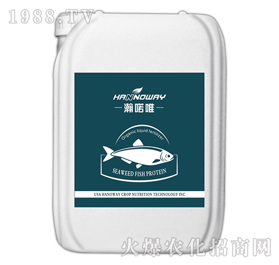 SEAWEED FISH PROTEIN-ZΨ-S