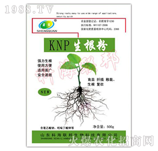 KNP500g-ƺ(lin)