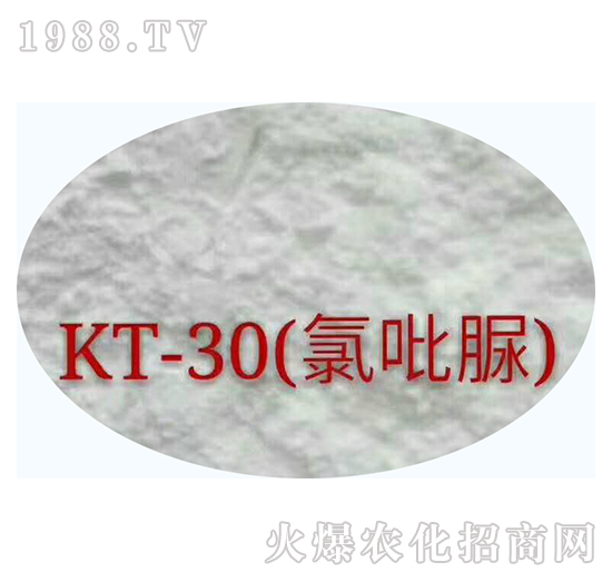 KT-30壩-