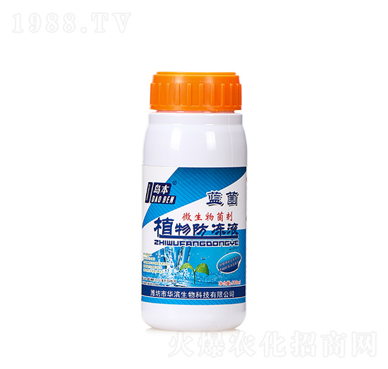 500mlֲҺ-AI