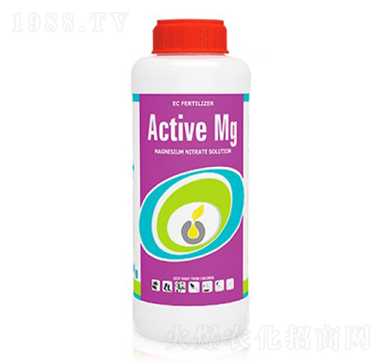 Active Mg-ָ