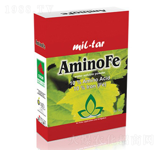 Amino Fe-ָ