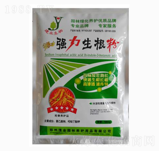 500g(qing)-I(y)