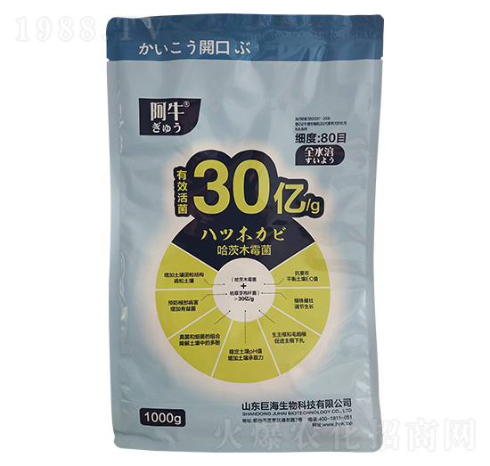 1000g΢-ţ-޺