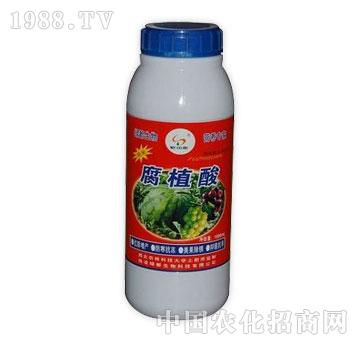 G-ֲ1000ml