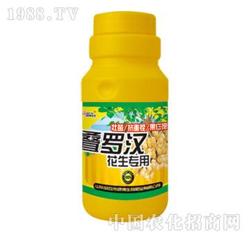 G-B_h500ml