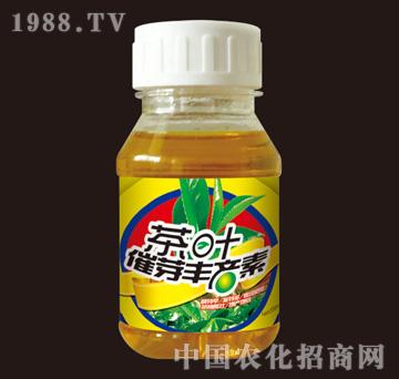 G-~ѿSa200ml