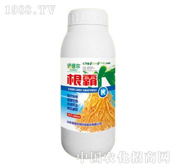 Z-Z-1000ml