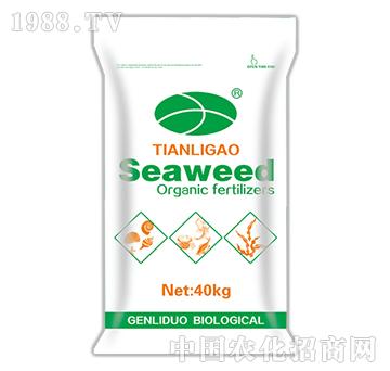 ЙC-Seaweed-