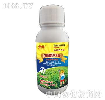 988--Y200ml