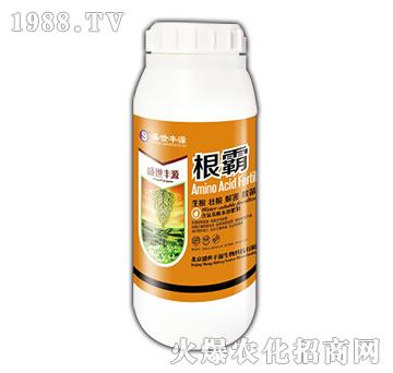 1000ml-{RʘI(y)