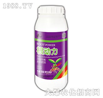 1000ml-{RʘI(y)