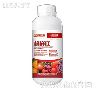 ӘӼt-ؐ(l)-