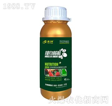 Ҙ(sh)-ֲ300ml-֮