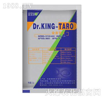 ձaҺwDr. KING-TARO̩_-֮