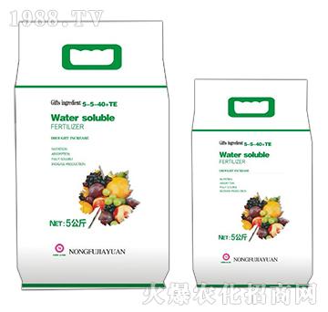 Water soluble FERTILIZER-5-5-40+TE-rڈ@