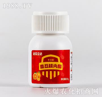 ֦(ni)֬-ǧ䣨20g-h(yun)Ҋ_(d)-ЙC(j)S