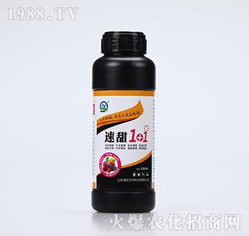 1+1(500ml)-r