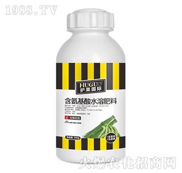 500g豆角優(yōu)選含氨基酸水溶肥-護(hù)果