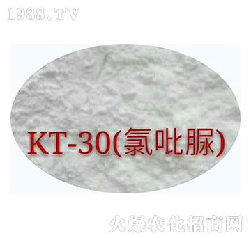 KT-30壩-