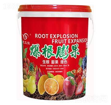 爆根膨果-肥立佳-一八生物