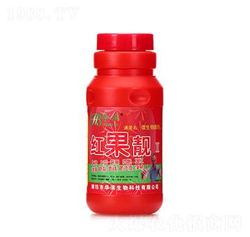 tn500ml-AI