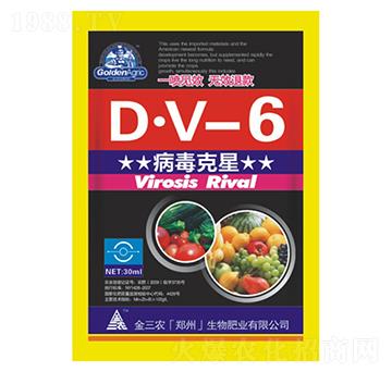 D-V-6-r