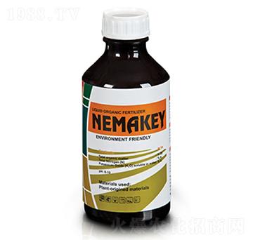 Nemakey-ָ