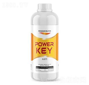 Power Key-ָ