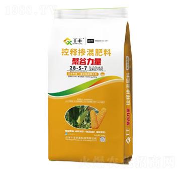 玉米專用控釋摻混肥料28-5-7-聚谷力量-千豐農(nóng)業(yè)