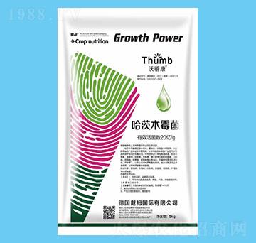 5kg哈茨木霉菌-沃蓓康-沃瀚農(nóng)業(yè)