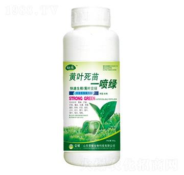 黃葉死苗一噴綠（500g）-勁萃-榮耀農(nóng)業(yè)