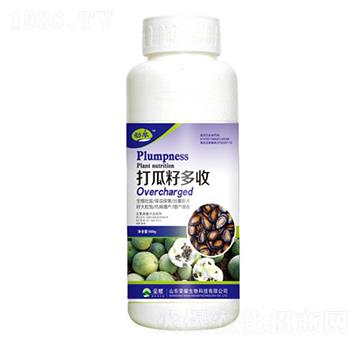 打瓜籽多收（500g）-勁萃-榮耀農(nóng)業(yè)