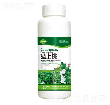 猛上桃（500g）-勁萃-榮耀農(nóng)業(yè)