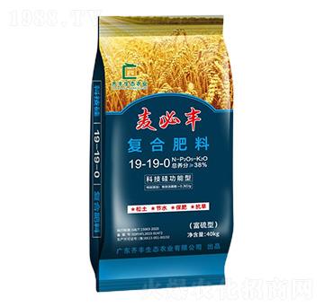 科技硅功能型復合肥料19-19-0-麥必豐-齊豐農業