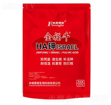 金福牛HA鉀（ISRAEL）-和潤農業